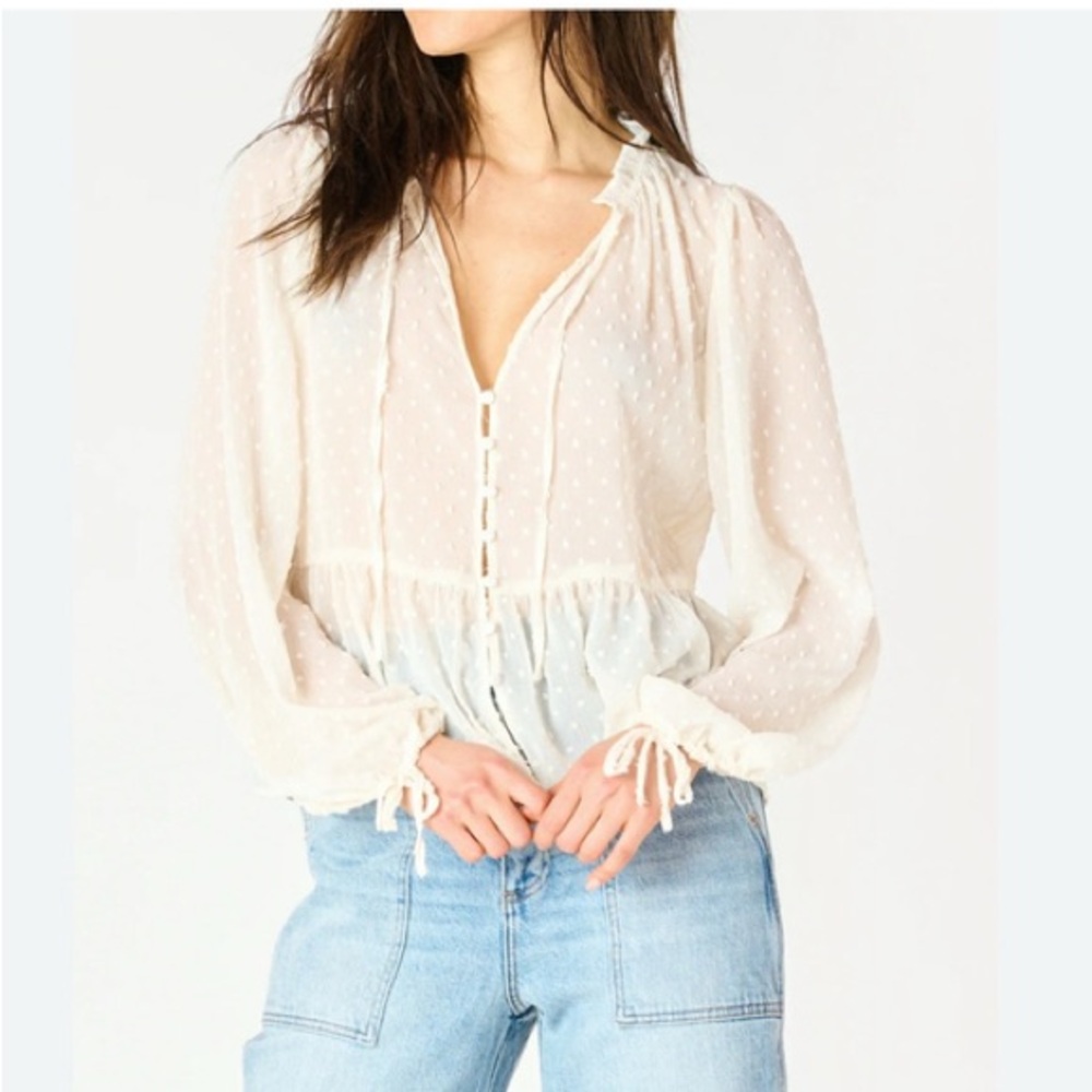 Zara Swiss Dot Sheer Button Down Blouse - Picture 3 of 11